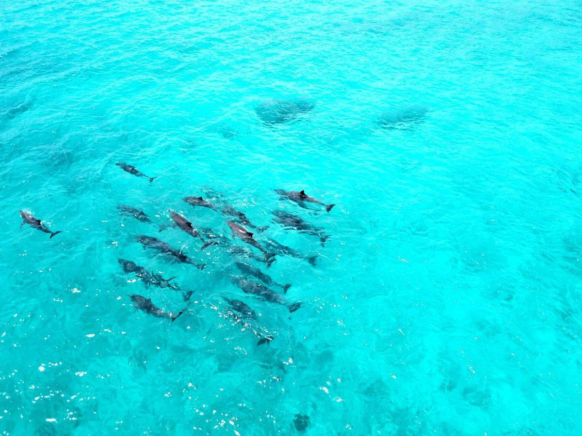 Athiri Beach Maldives Дігура Екстер'єр фото